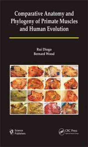 Cover image for Comparative Anatomy and Phylogeny of Primate Muscles and Human Evolution