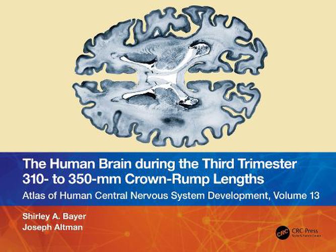 Cover image for The Human Brain during the Third Trimester 310- to 350-mm Crown-Rump Lengths