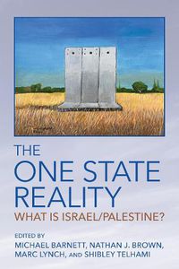 Cover image for The One State Reality: What Is Israel/Palestine?