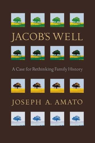 Cover image for Jacob's Well: A Case for Rethinking Family History