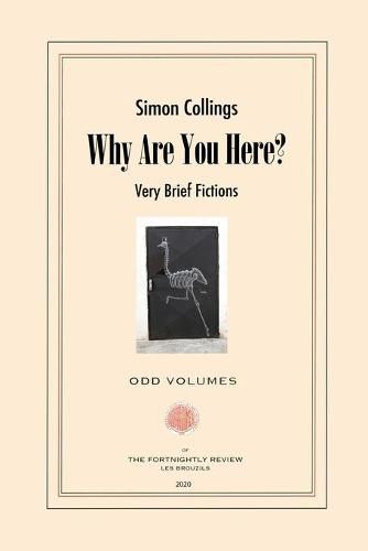 Cover image for Why Are You Here?: Very Brief Fictions