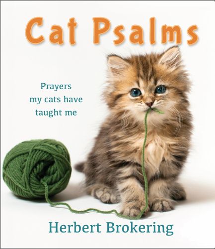 Cover image for Cat Psalms: Prayers my cats have taught me