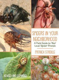 Cover image for Spiders in Your Neighborhood: A Field Guide to Your Local Spider Friends, Revised and Expanded