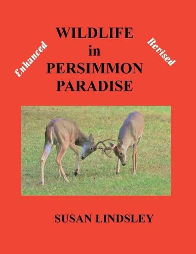 Cover image for Wildlife in Persimmon Paradise (Enhanced and Revised)