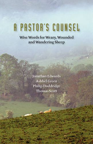 Cover image for A Pastor's Counsel: Words of Wisdom for Weary, Wounded & Wnadering Sheep