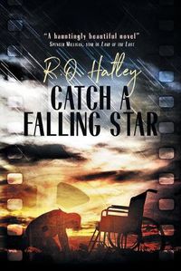 Cover image for Catch a Falling Star