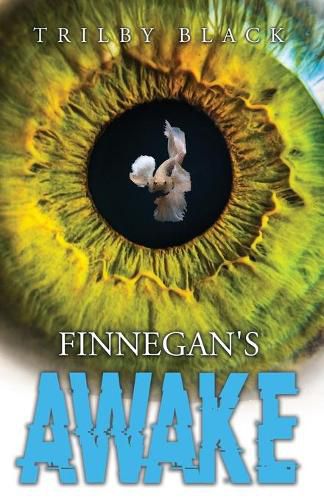 Cover image for Finnegan's Awake