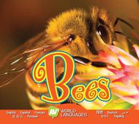 Cover image for Bees