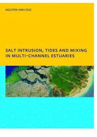 Cover image for Salt Intrusion, Tides and Mixing in Multi-Channel Estuaries: PhD: UNESCO-IHE Institute, Delft