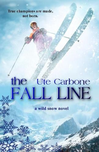 Cover image for The Fall Line