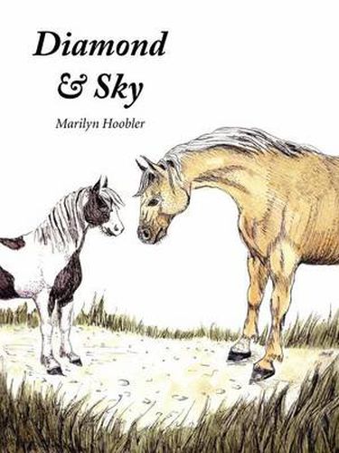 Cover image for Diamond & Sky