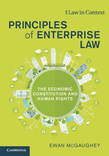 Cover image for Principles of Enterprise Law: The Economic Constitution and Human Rights