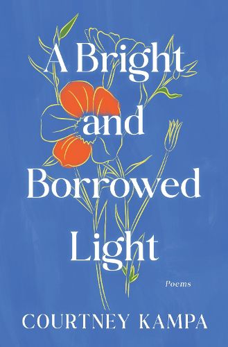 Cover image for A Bright and Borrowed Light