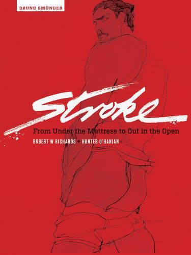 Cover image for Stroke: From Under the Mattress to Out in the Open