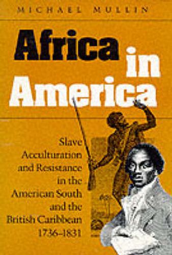 Cover image for Africa in America: Slave Acculturation and Resistance in the American South and the British Caribbean, 1736-1831