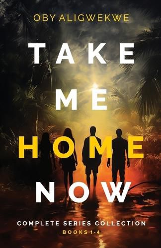 Cover image for Take Me Home Now