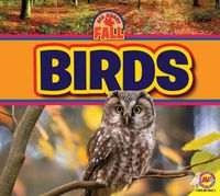 Cover image for Birds