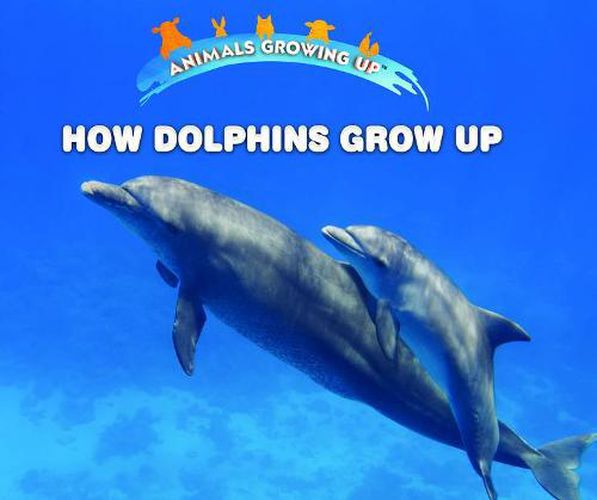 How Dolphins Grow Up