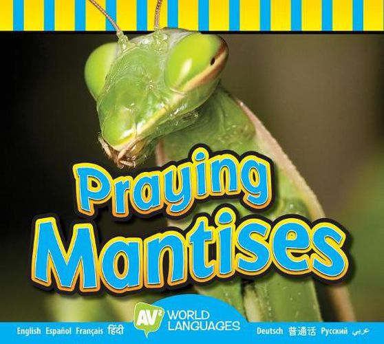 Cover image for Praying Mantises