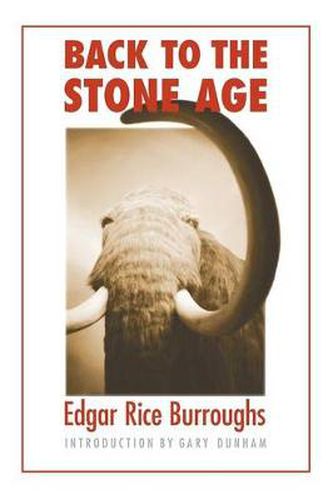 Cover image for Back to the Stone Age