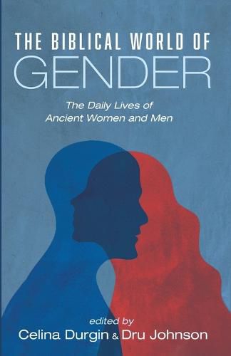 Cover image for The Biblical World of Gender: The Daily Lives of Ancient Women and Men