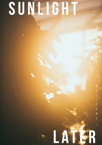Cover image for Sunlight Later