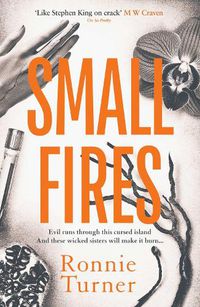 Cover image for Small Fires