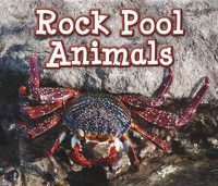 Cover image for Rock Pool Animals