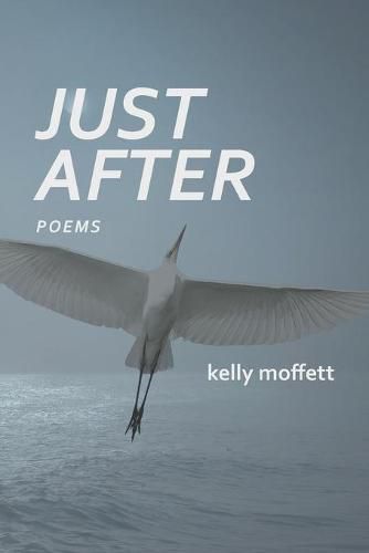 Cover image for Just After