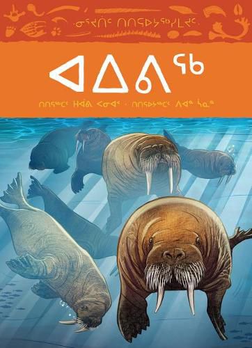 Cover image for Animals Illustrated: Walrus: Inuktitut