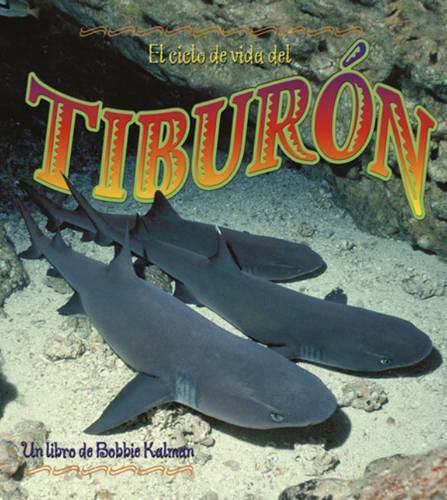 Cover image for El Ciclo de Vida del Tiburon