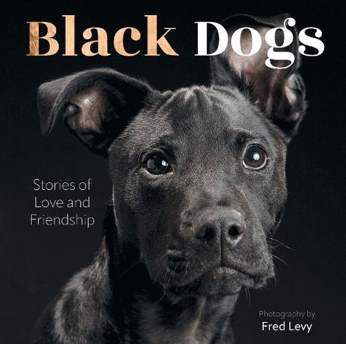 Cover image for Black Dogs
