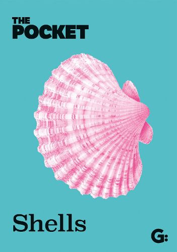 Cover image for The Pocket Shells