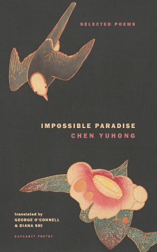 Cover image for Impossible Paradise