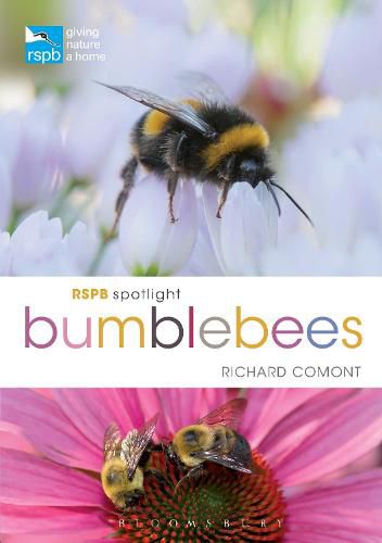 Cover image for RSPB Spotlight Bumblebees