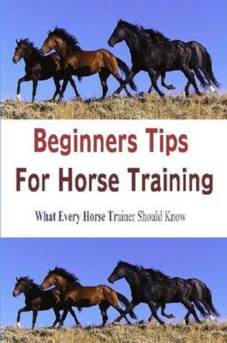 Cover image for Beginners Tips for Horse Training