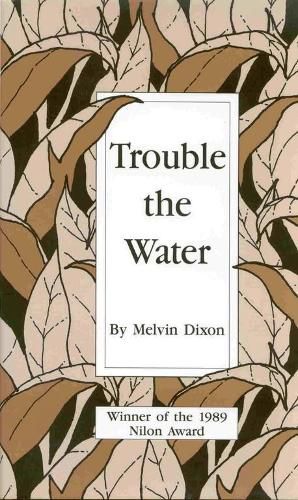 Cover image for Trouble the Water