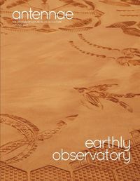 Cover image for Antennae #62 Earthly Observatory