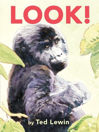 Cover image for Look!