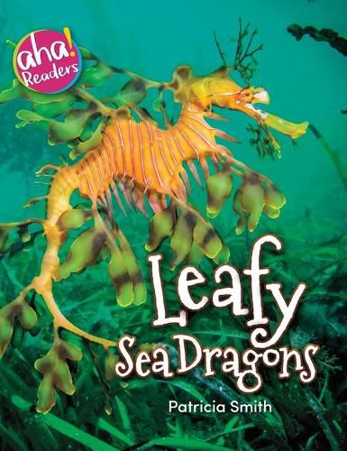 Cover image for Leafy Sea Dragons