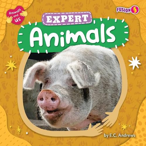 Cover image for Expert Animals