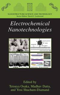 Cover image for Electrochemical Nanotechnologies