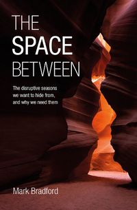 Cover image for The Space Between: The disruptive seasons we want to hide from, and why we need them