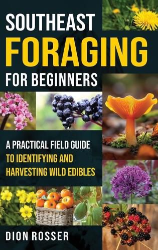 Cover image for Southeast Foraging for Beginners