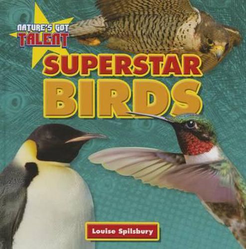 Cover image for Superstar Birds