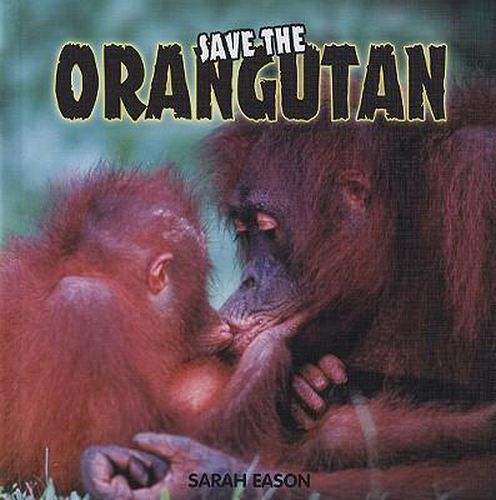 Save the Orangutan