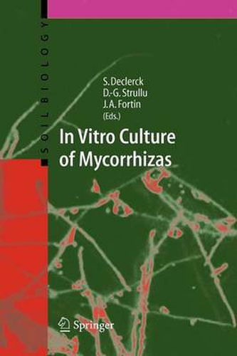 In Vitro Culture of Mycorrhizas