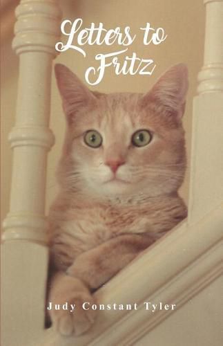 Cover image for Letters to Fritz