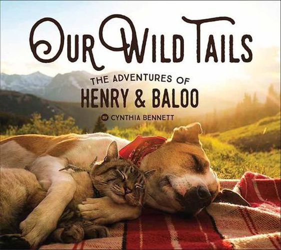 Cover image for Our Wild Tails: The Adventures of Henry and Baloo