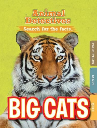 Cover image for Big Cats
